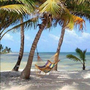 Meet your Posher, Terri